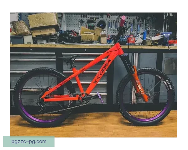 山地车赛事抢眼登场，挑战极限速度风尘令人咋舌