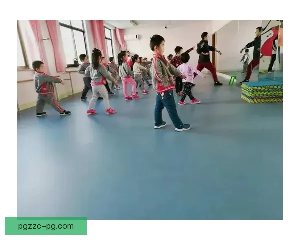 探究跆拳道排名标准及其影响因素